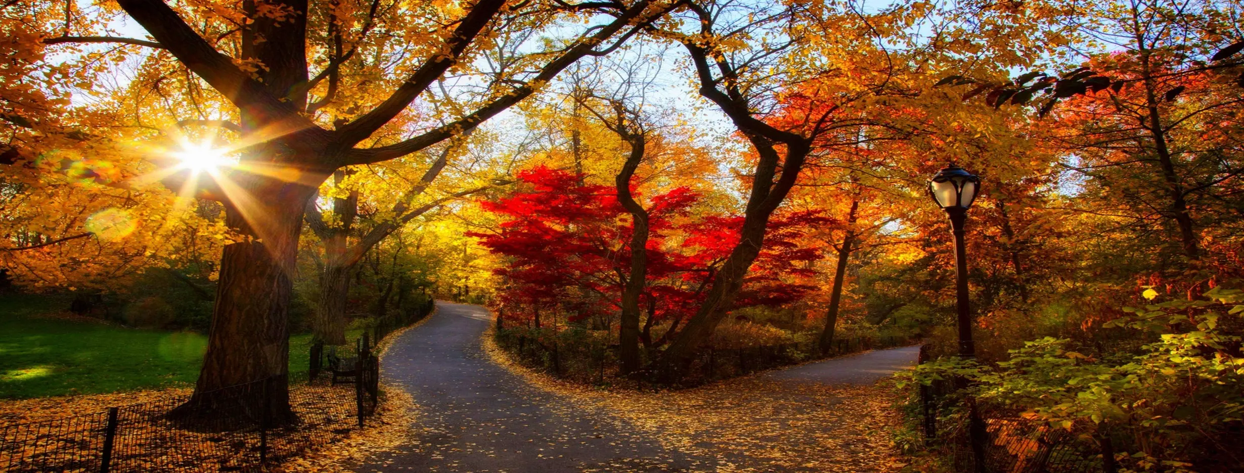 Image for Four Seasons